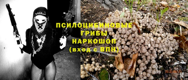 экстази Бородино