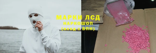 прущие грибы Бугульма