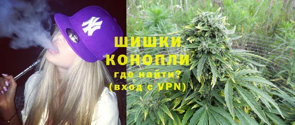прущие грибы Бугульма