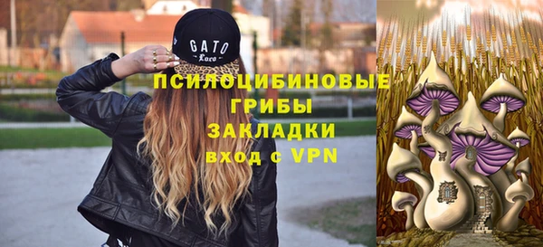 экстази Бородино